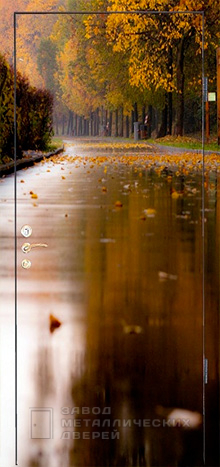 Фото «Дверь с фотопечатью №5» в Красноармейску